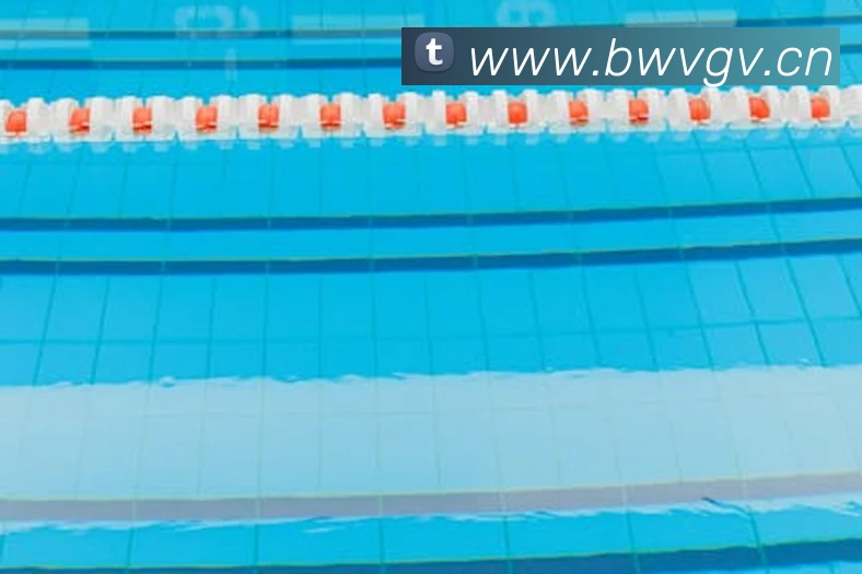 开云在线官方网站平台生态图